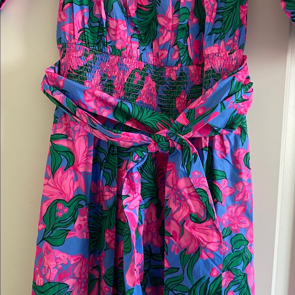 Lilly Pulitzer Pink and Blue Floral Maxi Dress - Picture 3 of 6